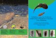 Preliminary report on Freshwater biodiversity in Wangchuck Centennial …awsassets.panda.org/downloads/wcp_freshwater... · 2013-04-12 · Preliminary report on Freshwater biodiversity