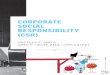 CORPORATE SOCIAL RESPONSIBILITY (CSR) · analysis of the Group’s ethical, social and environmental risks, as well as the corrective measures taken to prevent such risks 2017 Registration
