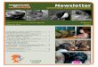 Newsletter - Bat Conservation Internationalthat provided binoculars, bird field guides and a set of squeaky birds for the classrooms. The squeaky birds have a sound chip featuring