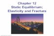Chapter 12 Static Equilibrium; Elasticity and Fracturepeople.virginia.edu/~ral5q/Hue_ PHYS_1_2017/PHYS_151_2012_Hue/… · 12-2 Solving Statics Problems Example 12-5: Hinged beam