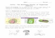 Part 1: Background on - Biology with Mrs. McGaffin - …€¦ · Web viewCells Cells are often referred to as the building blocks of living things because all living this are made