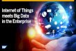 Harnessing The Internet of Things · SAP assumes no responsibility for errors or omissions in this document, except if such damages were caused by SAP´s willful misconduct or gross