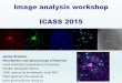 Image analysis workshop ICASS 2015 - Université Laval · 2015-05-21 · Part 2 – Human imaging: the eye Similar concepts in human and scientific vision: -Light intensity -Light