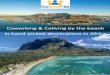 What makes the CoworKite remote work program unique? · Typical workshops and business events in Cape Town • Cape Town Tour of Silicon Cape - introduction to the ecosystem, visiting