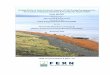 Scoping Study on Socio-Economic Impacts of Tidal Energy ... · how successful the industry will be in delivering renewable energy targets, and to what extent positive socio-economic