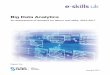 Big Data Analytics - unipa.it · Big Data Analytics: An assessment of demand for labour and skills, 2012-2017 Benefits Adoption rates aside, the potential benefits of utilising big