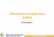 Workplace Health and Safety - Microsoftmel0207lsprod.blob.core.windows.net/uploads/mercycq... · Workplace Health & Safety As an employee you are obliged to: To ensure their own health