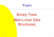 Binary Trees (Non-Linear Data Structures)hilltop.bradley.edu/~young/CIS210old/topic08.pdf · CIS210 58 Operations on Binary Trees Create an empty binary tree. Create a one-node binary