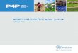 P4P Purchase for Progress Reflections on the pilot...iii Foreword For the World Food Programme (WFP), Purchase for Progress (P4P) is a major innovation in food assistance. The five-year
