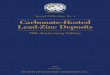Special Publication, No. 4 - segweb.org · Special Publication, No. 4 Carbonate-Hosted Lead-Zinc Deposits 75th Anniversary Volume D.F. Sangster, Editor First Edition, 1997 Graphic
