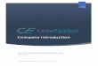 2018 - codeepsilon.com Profile Brief.pdf · capacity that exceeds your expectations. Since 20 14 , we have been designing and build amazing websites, web applications, mobile apps