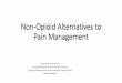 Non-Opioid Alternatives to Pain Management · Potential Channel (TRPV1) Enzymes •COX-1 Inhibitor •COX-2 Inhibitor Receptors •Mu-Opioid Agonist •Dopamine Antagonist (D1, D2)