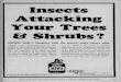 Insects Attacking Your Trees & Shrubsarchive.lib.msu.edu/tic/wetrt/page/1966may21-30.pdf · absorbed by your ornamental shrubs and trees. Translocated within the sap stream of the