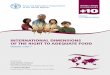 INTERNATIONAL DIMENSIONS OF THE RIGHT TO ADEQUATE FOOD · the current status of the right to adequate food in food security and nutrition policy designs guidelines 2, 3, 5, 6 and