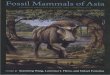 IiJbRgiijO.,,;IiJbRgiijO.,,; XIAOMING WANG isacurator ofvertebrate paleontology atthe Natural History Museum ofLosAn-geles County and has been studying fossil land mammals inAsia,