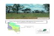 The Prairie-Forest Border Ecoregion: A conservation plan...The Prairie-Forest Border ecoregion is the transition zone, or “meeting place” between the tallgrass prairies and the