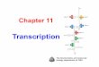 Transcriptionlibvolume1.xyz/biochemistry/bsc/semester5/... · –The prokaryotic RNA polymerase is a multiple-subunit protein of ~480kD. –Eukaryotic systems have three kinds of