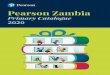 PEA Zambia 2020 Primary Catalogue · secondary colours, mixing, primary colours, paint, imaginative composition, compose D. Suggested resources sheets of paper in primary and secondary