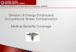 Division of Energy Employees Occupational Illness ......Office of Workers’ Compensation Programs (OWCP) Targeted Case Management Targeted Case Management (TCM) is a process of facilitating