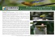 Prothonotary Warbler Conservation & Monitoring...The Prothonotary Warbler is an iconic swamp and bottomland hardwood forest bird species that is included on the list of Birds of Conservation