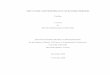 THE NATURE AND PERFORMANCE OF REVERSE MERGERS · The nature and performance of reverse mergers Chi Sun I compare a sample of reverse mergers betwee n 199 an5 d 2006 with comparabl