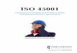 ISO 45001 - ISO 45001 may prove to be a model for an ISO OHSMS standard, but organizations concerned