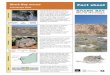 Shark Bay mouse Fact sheet · islands in Shark Bay and on North West Island. It will be reintroduced to Dirk Hartog Island as part of the Return to 1616 project. Distribution Description