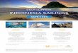 STAR CLIPPERS INDONESIA SAILINGS - Adventure World · 2016-12-12 · *TERMS AND CONDITIONS Prices are per person (pp) twin share, cruise only in AUD, based on lead-in cat. 6, economy