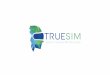 TrueSim - Pitch - Eric DEF · 1. MVP development phase (8 months) - develop MVP simulator (4 scenario’s) - start marketing/communication - contact launching customers NL/B 2. Market