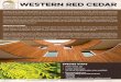 Western Red Cedar · Our Western Red Cedar is harvested through forest restoration programs like the on-going project at Ellsworth Creek Preserve in Southern Washington. The Nature