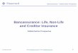 Bancassurance: Life, Non-Life and Creditor Insurance · Bancassurance: Life, Non-Life and Creditor Insurance ... non-life and creditor insurance by banks and other lending institutions