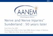 Nerve and Nerve Injuries” Sunderland : 50 years later · 2019-10-08 · III. C. Applied anatomy to Nerve injuries – Internal features – Regeneration – Scar tissue can redirect