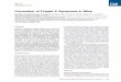Neuron Report - Neuroscienceneuroscience.jhu.edu/files2/Dolen_et__al_Neuron.pdfNeuron Report Correction of Fragile X Syndrome in Mice Gu¨lDo¨len, 1,2 Emily Osterweil, B.S. Shankaranarayana