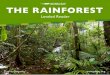 rainforest - mongabay.s3.amazonaws.comTHE RAINFOREST Leveled Reader Triona Gogarty mongabay.org. This is the rainforest. 2. This is a tree. 3