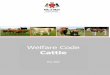 CODES OF RECOMMENDATIONS FOR THE WELFARE OF LIVESTOCK · 4 An Introduction by the Minister The Department of Agriculture Fisheries and Forestry is introducing a new Welfare Code for