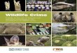 Wildlife Crime - gov.uk · 3.2 Digital forensics 21 Chapter 4 Firearms 24 Chapter 5 Specimen identification and provenance 30 ... 10.4.2 Sample Analysis 93 10.4.3 Witness Statements