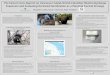 Eastern Grey Squirrel on Vancouver Island, BC: Monitoring ... · The Eastern Grey Squirrel on Vancouver Island, British Columbia: Monitoring Range Expansion and Evaluating Hormonal