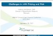 Challenges in xVA Pricing and Risk - MathWorks · It has origins as a pricing & risk library for derivatives Oriented towards exotic & multi-factor derivatives, eg. PRDCs Managing