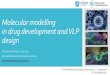 Molecular modelling in drug development and VLP …c2tn.tecnico.ulisboa.pt/images/1st_c2tn_workshop/oral/OP...Molecular modelling in drug development and VLP design Rita Paiva de Melo,