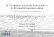 A Glimpse at the Food Safety actors in the Mediterranean ...networks.iamz.ciheam.org/samefood/css/pdf/15-Garofalakis.pdf · A Glimpse at the Food Safety actors in the Mediterranean