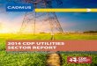 2014 CDP UTILITIES SECTOR REPORT - Cadmus · CDP is an international, not-for-profit organization providing the only global system for companies and cities to ... high disclosure
