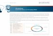 PreView: Protiviti's View of Emerging Risks · 2017-08-10 · Internal Audit, Risk, Business Technology Consulting FPO As organizations continue to evolve their risk governance practices,