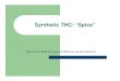 Synthetic THC: “Spice” - Tempe Community Council€¦ · “Spice” is marketed as an incense or potpourri, but the products are usually smoked by users. z. In stores, “Spice”