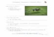 Purdue University - Indiana's Land Grant University - …€¦ · Web view1. Forty to fifty minute lecture over a general introduction to insects, insects as predators, and biomimicry