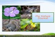 My Nature Journal journal... · 2020-04-23 · My Nature Journal The Game Commission cares about you. Please stay safe and stay home during the Stay-at-Home Order. About Natural Journaling