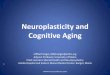 Neuroplasticity and Cognitive Aging · Neuroplasticity •Change in brain structure and function in response to environment and experience. –Occurs at both synaptic, network and