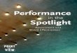 Performance in the Spotlight - Spencer Stuart/media/s... · aligning CEO compensation with the performance of the business, and planning for the succession of the CEO. At the same