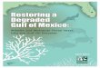 Restoring a Degraded Gulf of Mexico: Wildlife and Wetlands .../media/...Restoring_Gulf_Report_FINAL.pdf · species of wildlife, fish and shellfish and are therefore a critical link