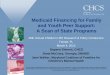 Medicaid Financing for Family and Youth Peer Support: A ...cmhconference.com/files/2013/cmh2013-1a.pdfMedicaid Financing for Family and Youth Peer Support: A Scan of State Programs