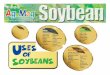Human Animal Consumption Consumer & Industrial · 2016-07-01 · One bushel of soybeans weighs 60 pounds and provides} 11 lbs. of crude soybean oil 47 lbs. of soybean meal + Crude